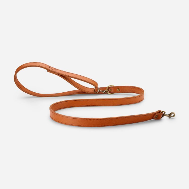 Golden Leather Dog Leash – Premium Ethiopian Veg-Tanned Leather